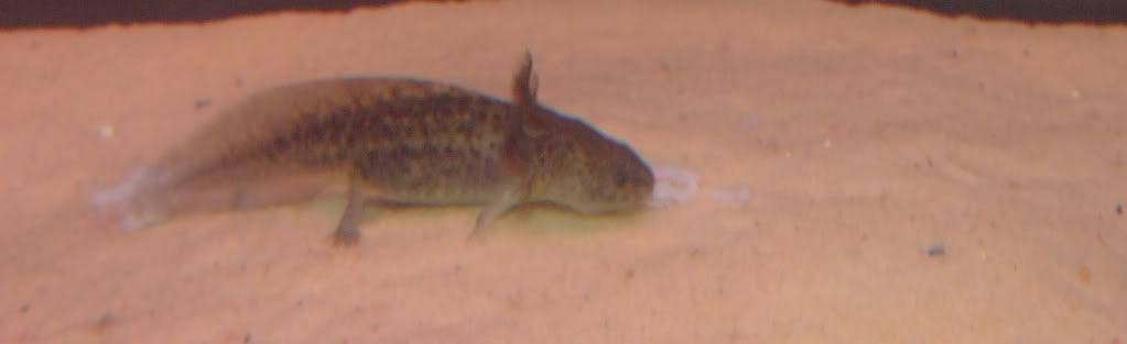 DSCF8819.jpg