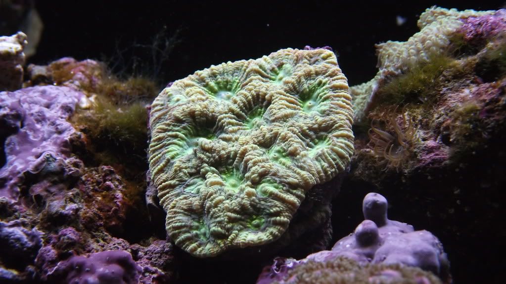 DSCF2094.jpg