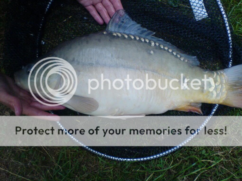 6lbcarpcotswaldsjuly06.jpg