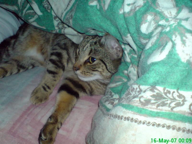 DSC00169.jpg