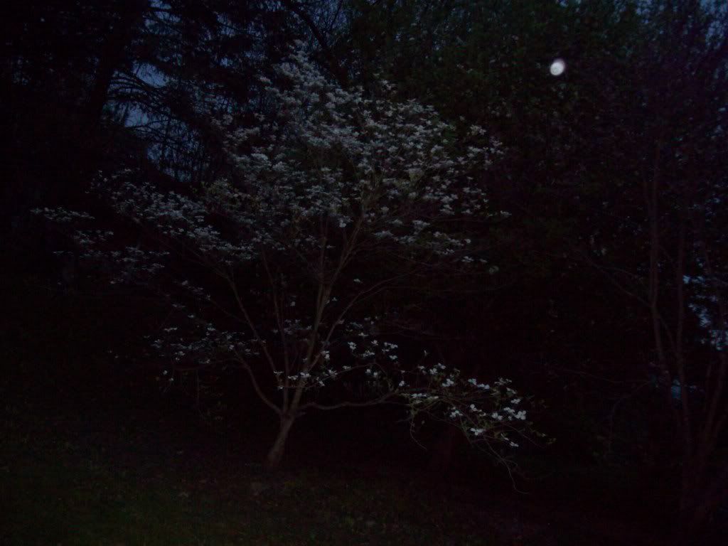 018-6.jpg