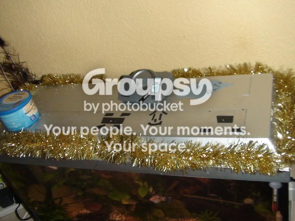 DSC01324.jpg