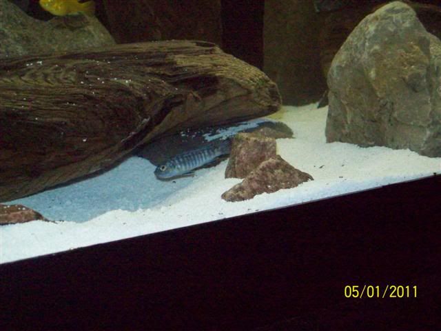 102_3651Small.jpg
