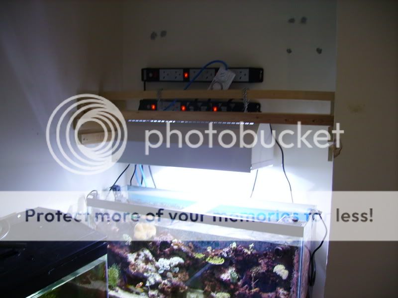 4footbuild040.jpg
