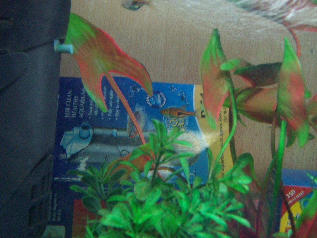 100_0695.jpg