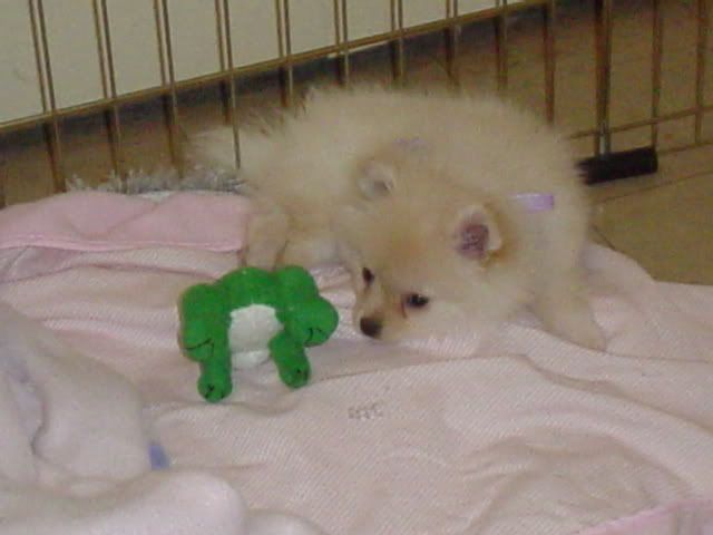 Feb27picssleeping007.jpg
