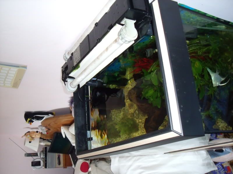 DSCF1893.jpg