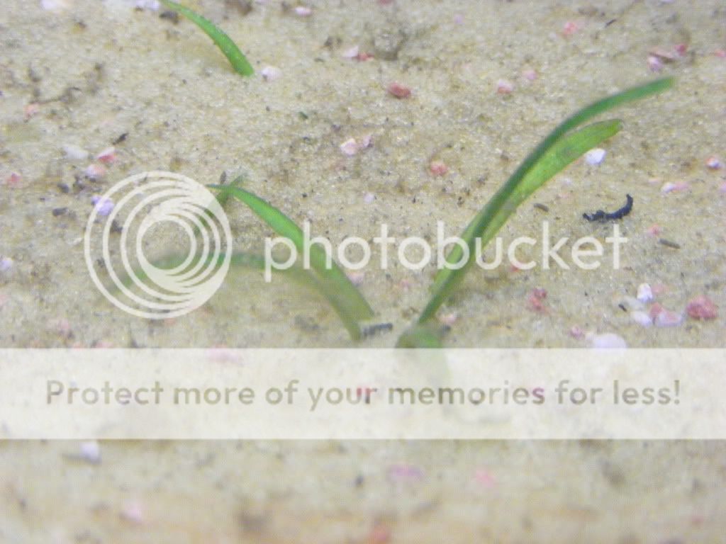 DSCF5878.jpg