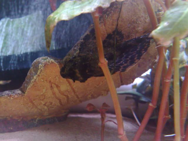 25012009152.jpg