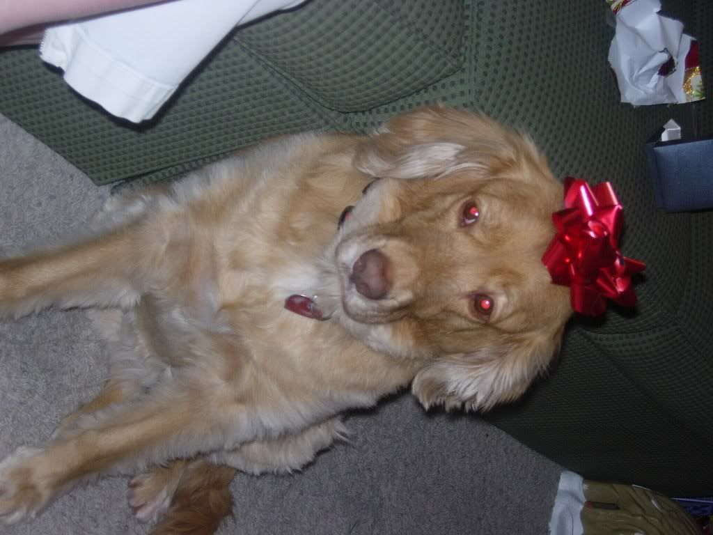Dec043.jpg