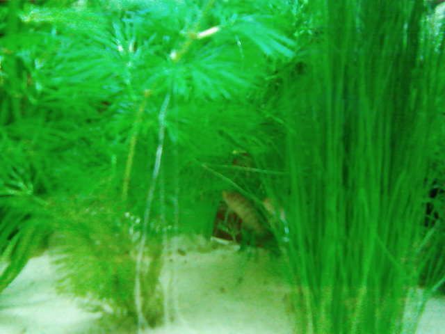 SP_A0302.jpg