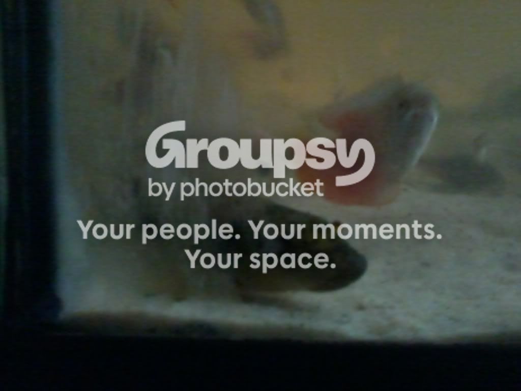 2011-01-23134916.jpg