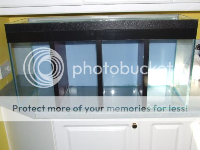 DSCF2448.jpg