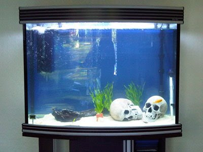 newtank.jpg