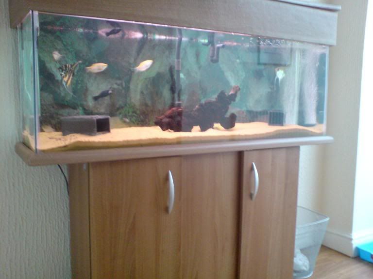 Fishforum5.jpg