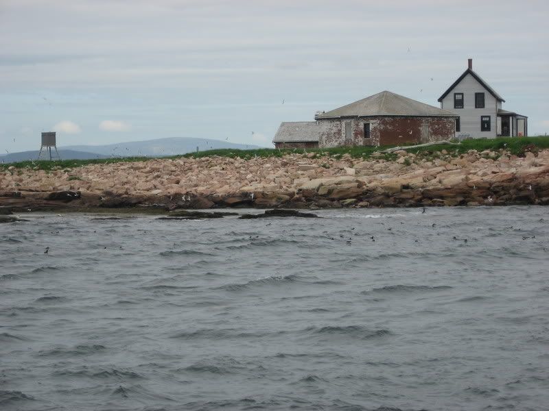 IMG_1633.jpg