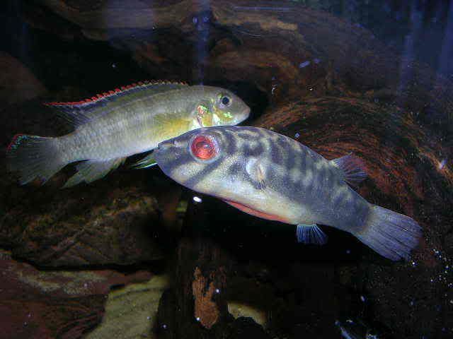 DSCN2618.jpg