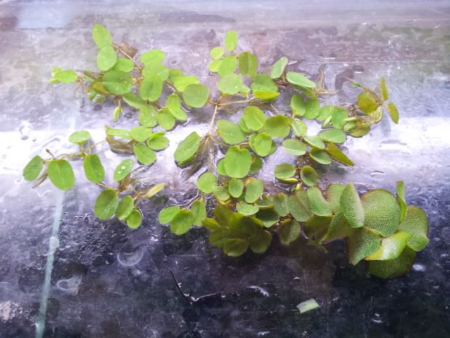 20120607_143546.jpg