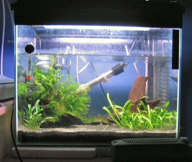 tank-3.jpg