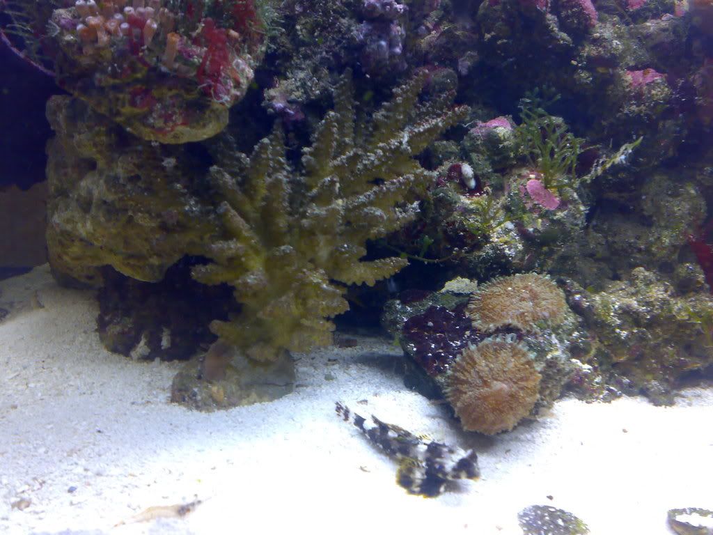 12042009404.jpg