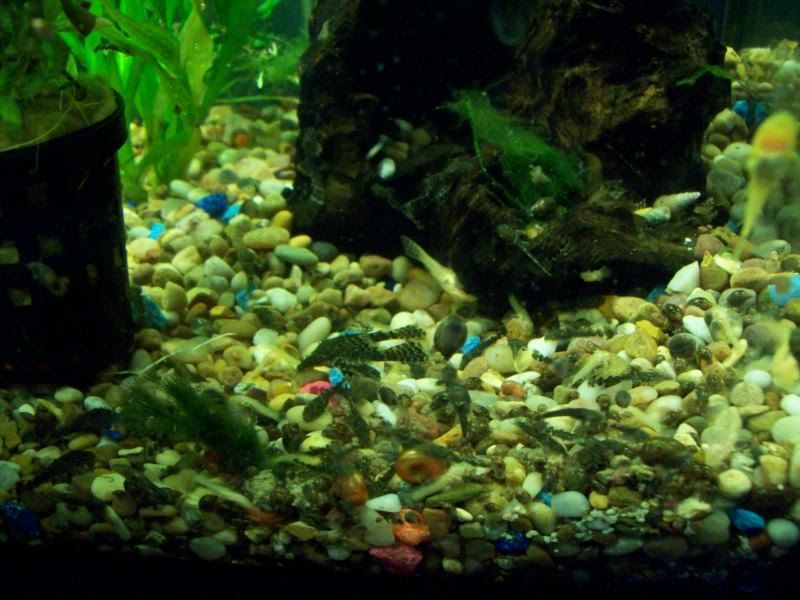 100_0560.jpg