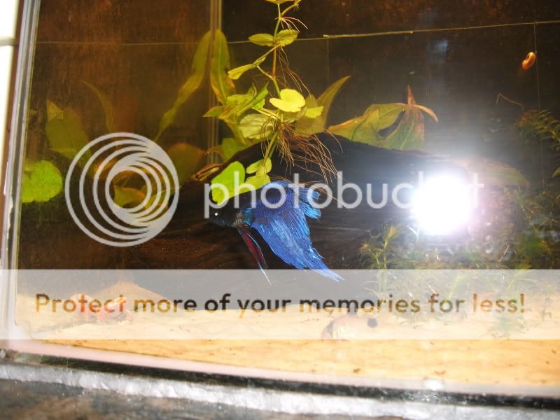 DSCF2512.jpg