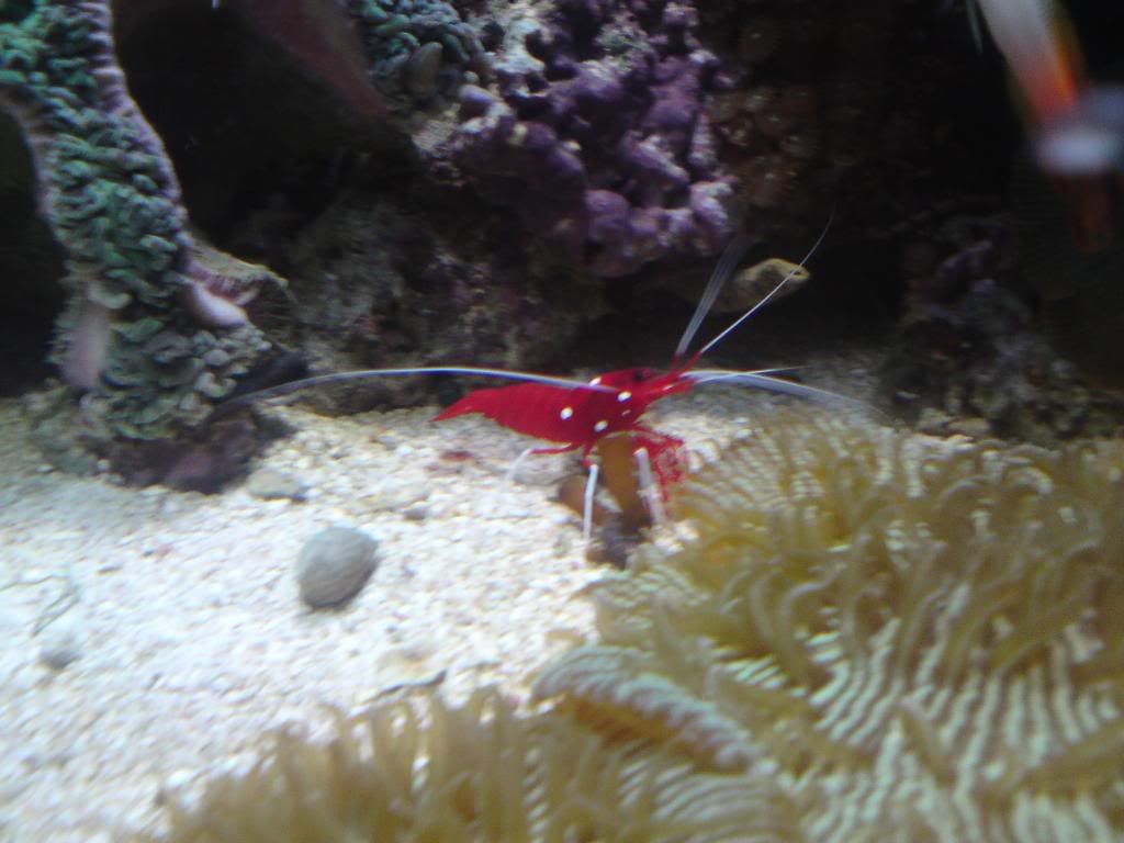 DSC00015.jpg
