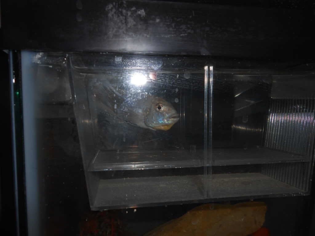 DSCN0082.jpg