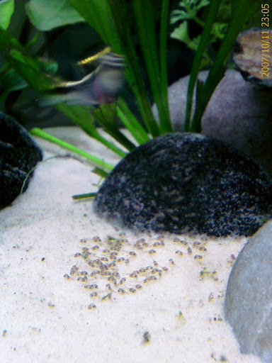 IMAGE_00187.jpg