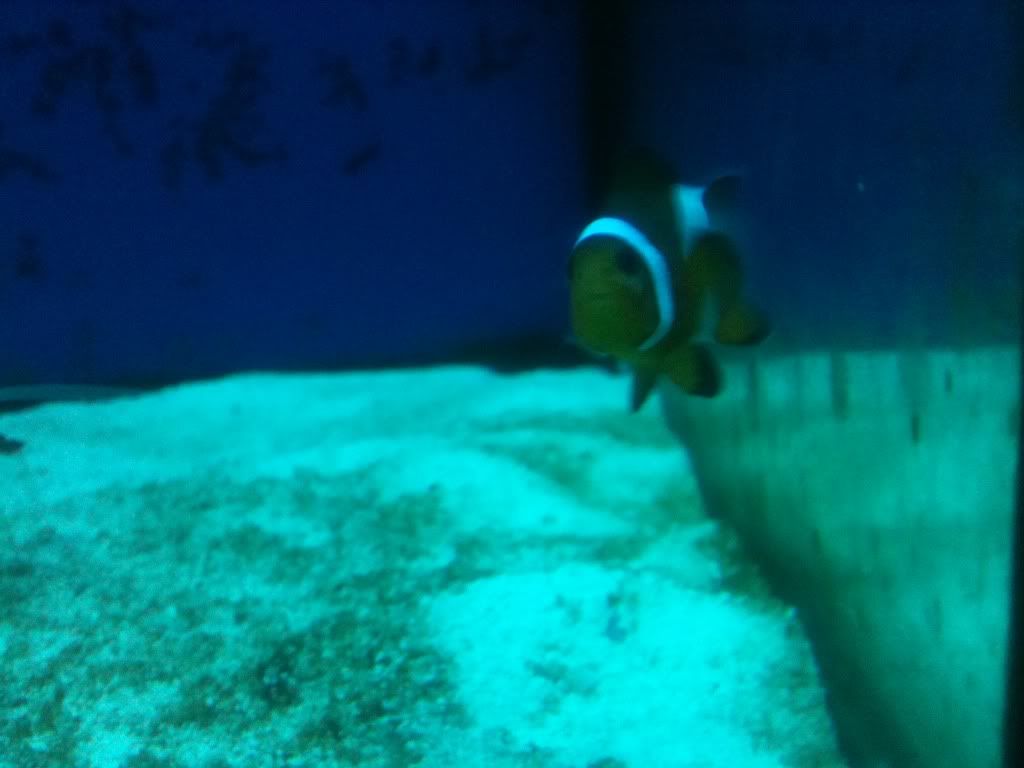 IMG_1180.jpg