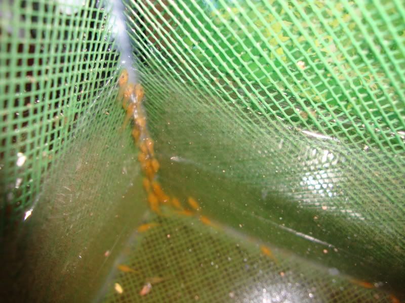 024-2.jpg