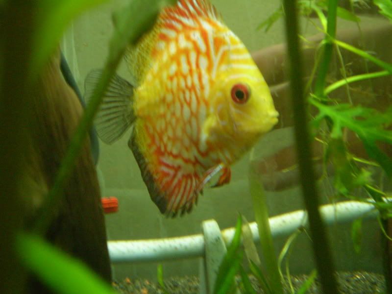 P9020114.jpg