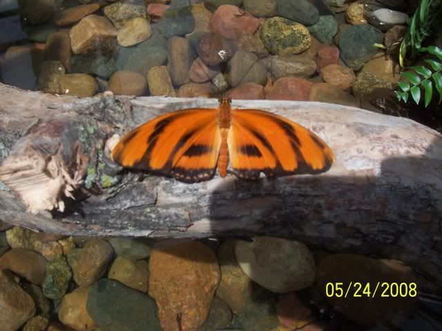 100_3249.jpg