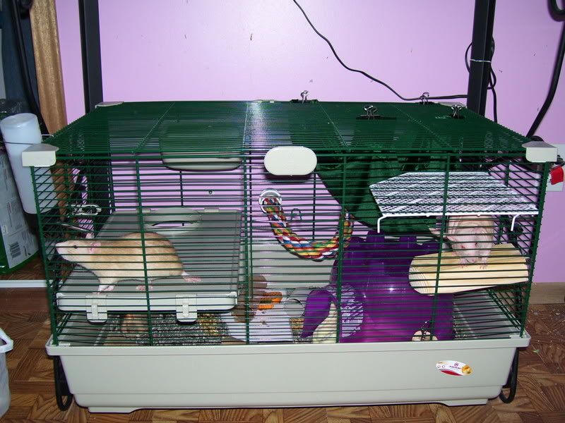 000_0027.jpg