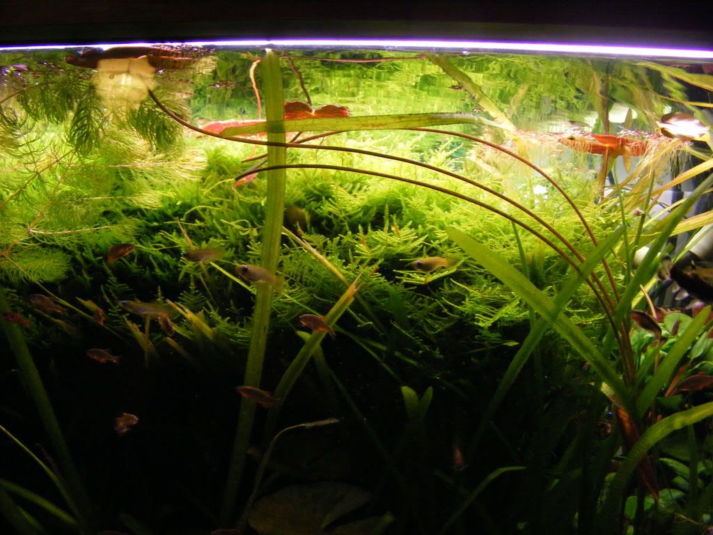 DSCF1525.jpg