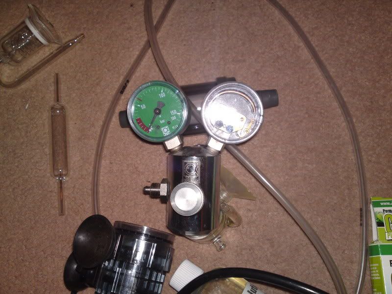 08122010185.jpg