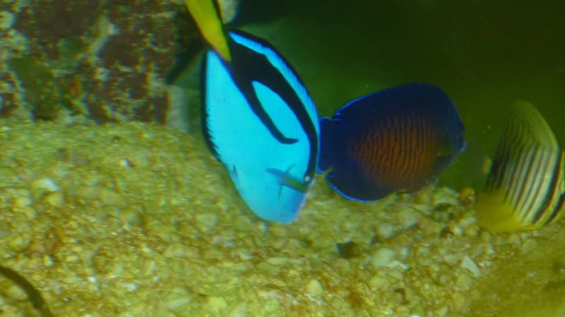 P1000722.jpg