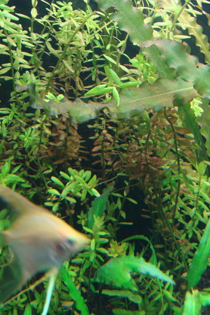 DSC08374.jpg