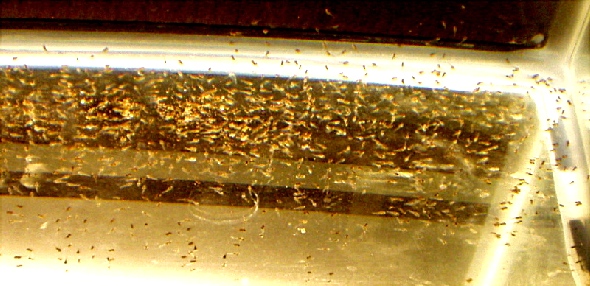 i-s7VVt8S-M.jpg