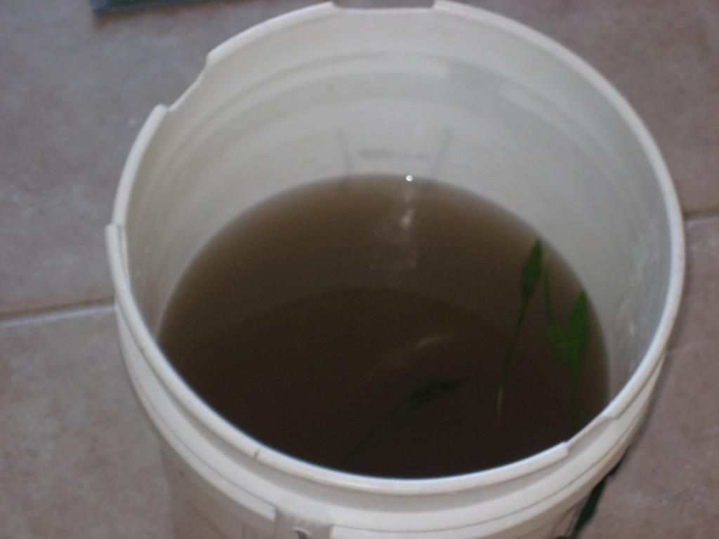 IMG_3023_zps95e69635.jpg