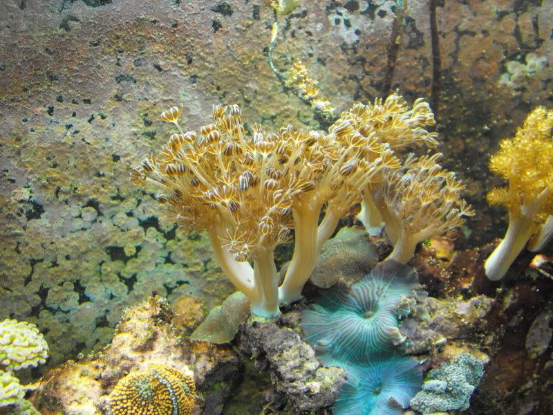 2008_09239_23_080005.jpg