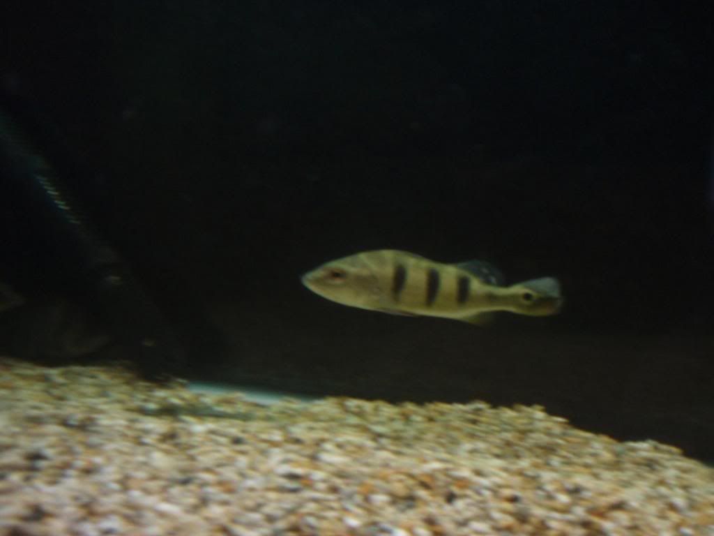 Picture025.jpg