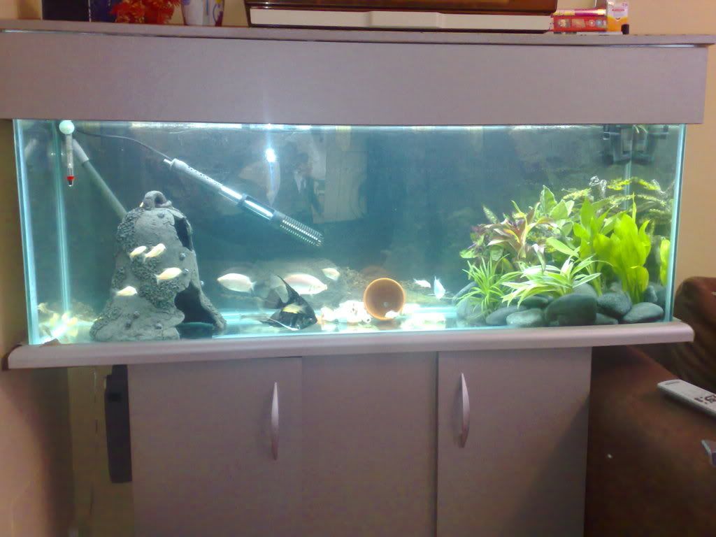 04102007011.jpg