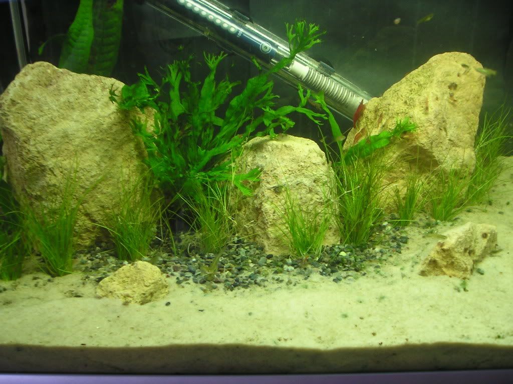 tank003.jpg