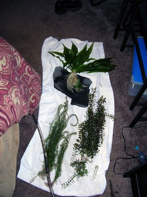 DSCN1547.jpg