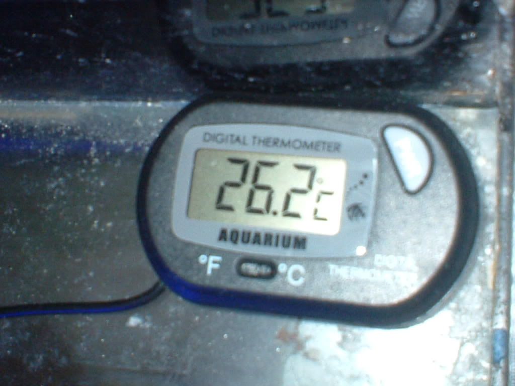 thermometer.jpg