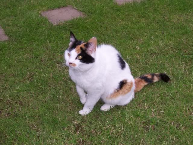 Picture507.jpg