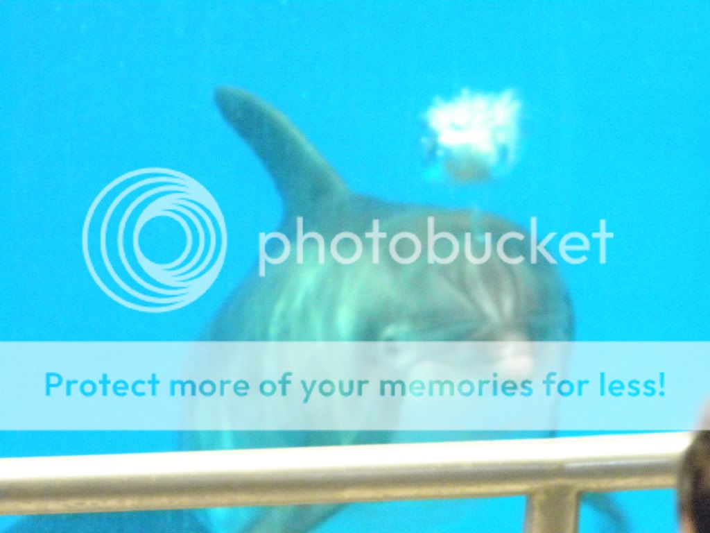 Aquarium18.jpg