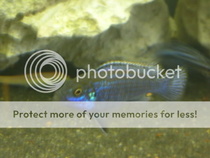 fishpics014.jpg