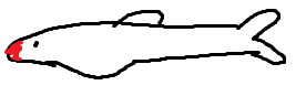 rummy.png